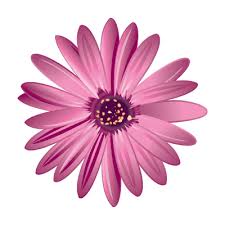 Flowers Distributing Inc